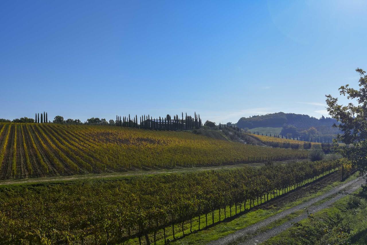 Agriturismo Le Gallozzole Monteriggioni Ngoại thất bức ảnh